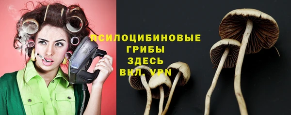 бутират Пестово