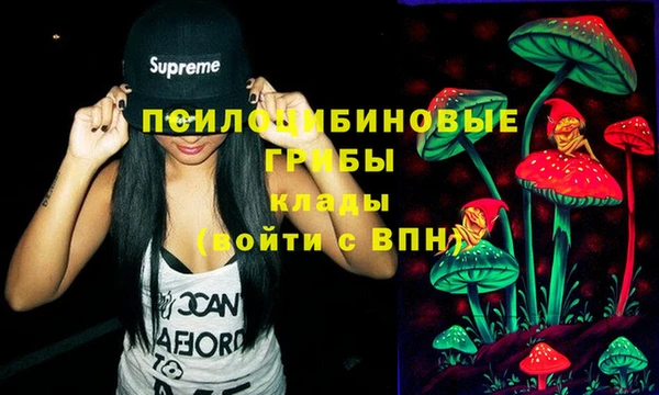 амф Абинск